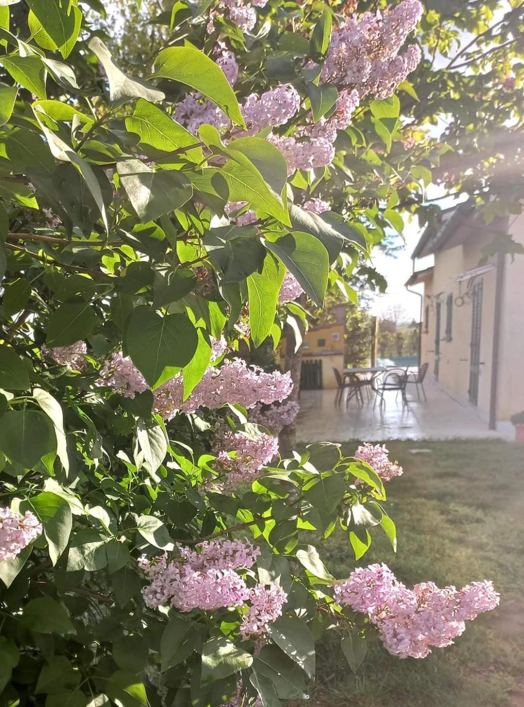 La Casa Di Tommy Cortona